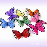 A Flutter of Butterflies