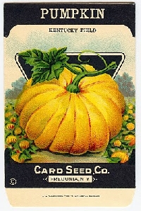 HS: Halloween Garden Seed Packs (USA)    