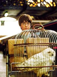Harry Potter Themed Swap (NEWBIE FRIENDLY)