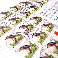 Fill a PC many postage stamps INTERNATIONAL