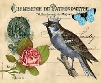 VC:  Vintage ATC - Add a Bird and a Butterfly 