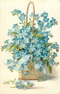 Flower of the Month - July - Forget Me Not