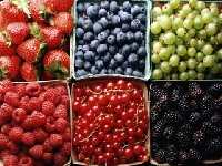 Edibles: Celebration of Summer Berries #4