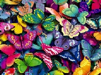 Pinterest - Butterflies