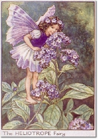 Cicely Mary Barker Flower Fairy ATC