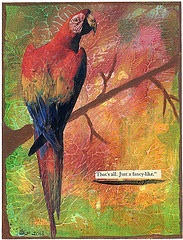 TF: Mail Art Postcard with a Bird On It