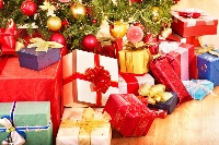 25 Days of Christmas in Priority Padded Envelope