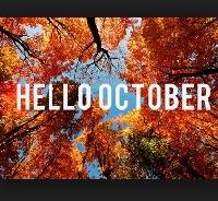 October: Bizarre Holidays