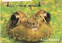 Froggy postcards!