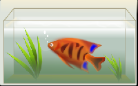 Fish tank atc