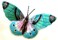 AR: Rolodex Card - with a Butterfly   USA