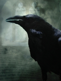 Halloween Themed #7 - Ravens ATC