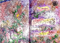 Altered Text Journal #8