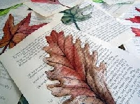 Bookpage/leaf