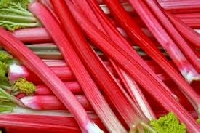 Pinterest Recipe Collection #18: Rhubarb