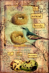 ATC with Birds, Nests, and/or Eggs