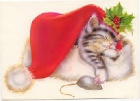 Kitty Cat Christmas Cards!