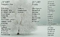 Winter Food -January