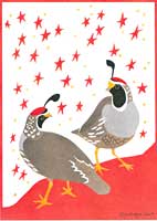 Bird Themed Holiday Cards!