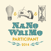 3 Questions from NaNoWriMo