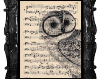 Bookpage/Owl