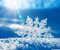 APDG ~ Pretty Snowflakes