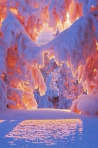 Snow/Winter Scenes