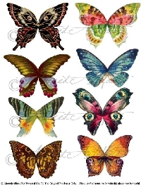 VC: Add Butterfly Wings