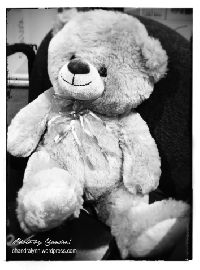 Teddy Bears and Dolls in Monochrome