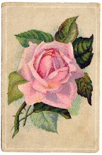 VS - Vintage Rolo with a Flower (USA)