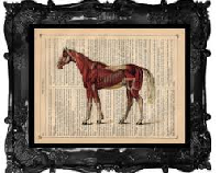 Bookpage/ Horse