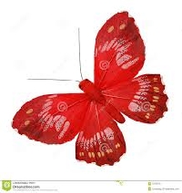 Butterfly Series #1 - Red