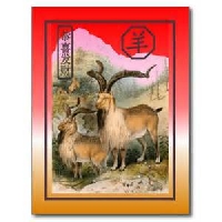 Chinese New Year 2015:  Year of the Sheep Tag