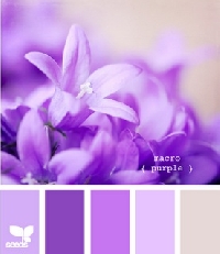 PINTEREST - In purple! â™¥