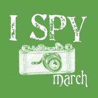 SS: I spy... with my camera ~March~