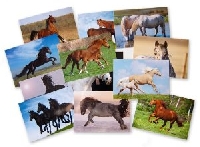 Simple Horse Postcard Swap #2