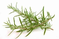 Pinterest Recipe Collection #36: Rosemary