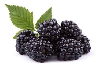 Pinterest Recipe Collection #39: Blackberries