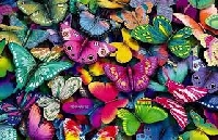 Butterflies Mail Art Envie USA