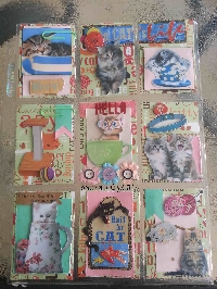 Pocket Letter All About Cats