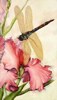  VC: Spring Fever ATC! â€“ Dragonfly