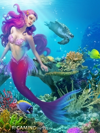 MLU: Anything Mermaid International