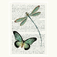 Bookpage Dragonfly/Butterfly