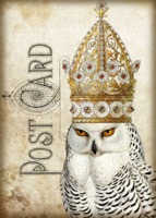 BLoG Owl ATC Swap Series (King/Queen) / INT