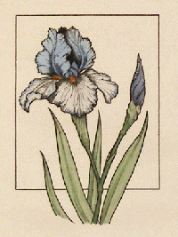 February's Birth Flower / Iris ATC Swap