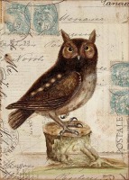 BLoG Owl Swap Series (Realistic Owl) - INT 