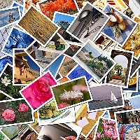Massive postcard swap profile based #2