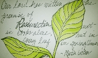 1POSH= Painter's Only: watercolor leaf postcard