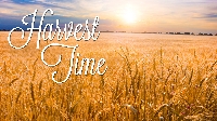 Harvest time PC