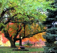 Pinterest:  Fall/Autumn